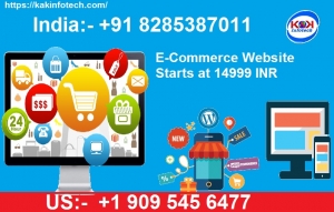 E-commerce Website Design Company in India